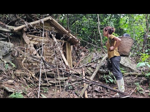 The strong girl cleaned out the abandoned houses in the forest, refuge, cooking- ly tieu binh.