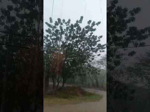 cae fuerte aguacero en la hermosa bosconia César la capital mundial del chicharrón