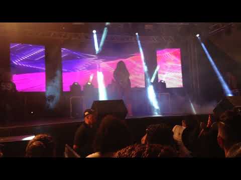 Dafiny Mullers parada Lgbt Araraquara 19/11/2017