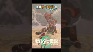 強敵ライネル戦！ #ゼルダの伝説ティアーズオブザキングダム