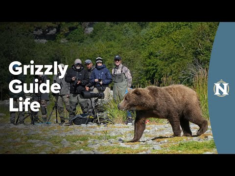 A Day in the Life of an Alaska Grizzly Guide: Katmai National Park