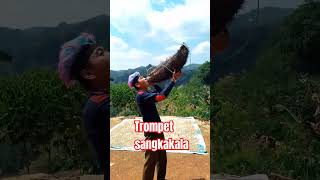 Download lagu Trompet prang sangkakala#shorts#trompet mp3