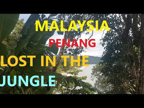 Malaysia Penang Lost in the forest by the beach