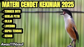 Download lagu MASTERAN SUARA BURUNG CENDET MATERI TERBAIK 2025 mp3 Download lagu MASTERAN SUARA BURUNG CENDET MATERI TERBAIK 2025 mp3