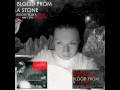 Hanne Hukkelberg - Blood From A Stone (Audio)