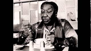 Muddy Waters ~ Live At Mr. Kelly's (Part 1 Electric Harmonica Chicago Blues 1971)