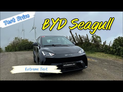 BYD  Seagull | Prueba extrema en carretera