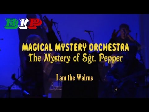 I Am The Walrus (The Beatles) by Magical Mystery Orchestra