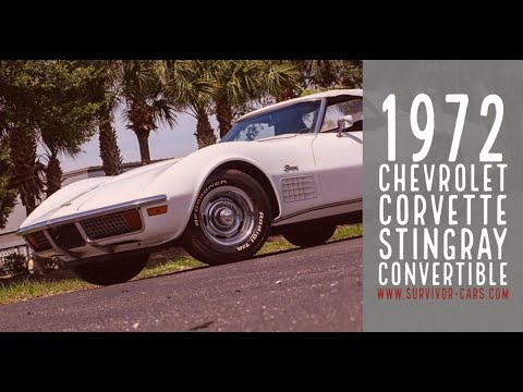 1972 Chevrolet Corvette (CC-1470883) for sale in Palmetto, Florida