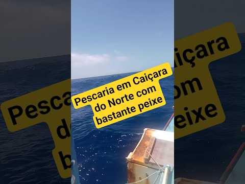 a vida que pedi a Deus