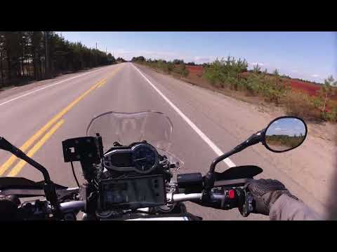 Lac Saint-Jean blueberries