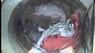 How to Operate a Washer: Usage Tips and Advice from Sears PartsDirect