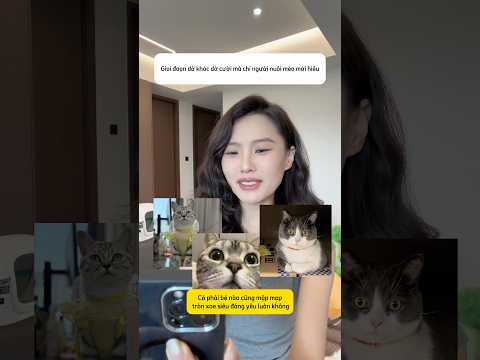 dậy thì thành công của mèo là vậy đó #thucung #meow #catlove #nuoimeo #mèocon
