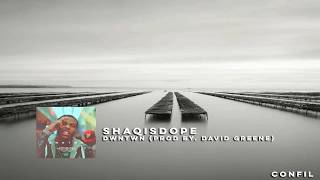 ShaqIsDope - DWNTWN (Prod by. David Greene)