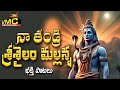Naa Thandri Sri Sailla Mallanna Mallanna Speacial Songs Shiva Songs 2026 Vmc Devotional