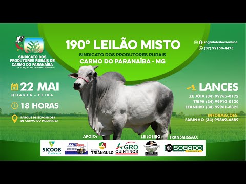 190º LEILÃO MISTO - SINDICATO DOS PRODUTORES RURAIS DE CARMO DO PARANAÍBA/MG - 22/05/2024