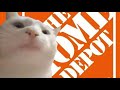 Cat Vibing To The Home Depot Theme Song
