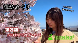 諏訪めぐり 第３話「心ほどける諏訪のさくら」