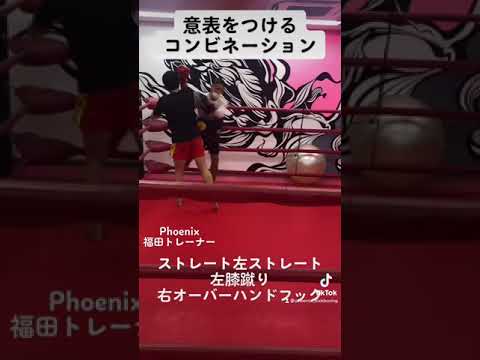 膝蹴りを活用した上下の打ち分けコンビネーション
