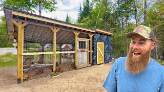 What I Built for My Chickens – You’ll Want One Too (FULL TOUR)