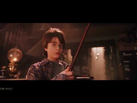 Harry Potter Felsefe Taşı - Asa  Seçimi- HD (Türkçe Dublaj)