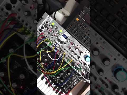 Today's Mutable instruments Rings...