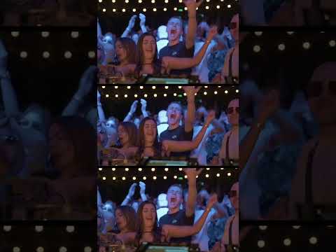 Yass - Kureni (Kyiv)