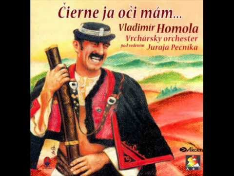 Vladimír Homola - Lepšie je na Hute cestárovi