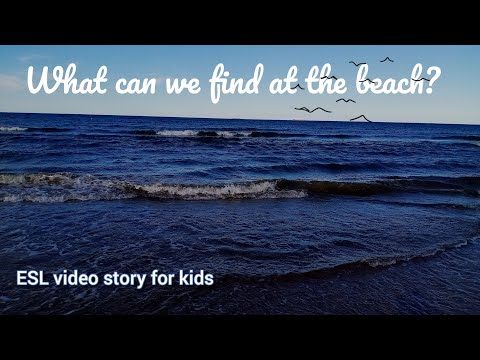 What can we find at the beach? SEA & BEACH. ENGLISH FOR KIDS.