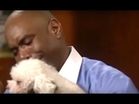 YouTube video about: Why did the dog get a ticket answer key?