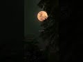 O Jeena Bada Mushkil Hove Whatsapp Status Video Lufi Version Sadstatus Sad Whatsapp Status Viral