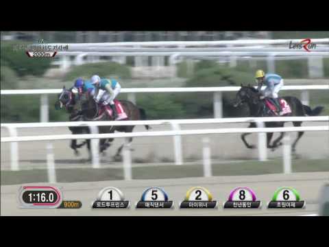 Jeju Governor's Cup 2014 - Magic Dancer