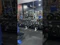 Savage Arm Day part 2