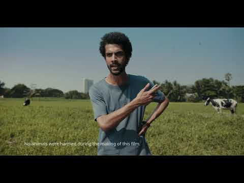 MPL Brain 'Grass' #MPL #HaiAkalTohKheloMPL