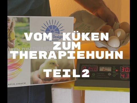vom Küken zum Therapiehuhn Teil 2 schieren der Eier Tag 15 Projekt Therapiehühner