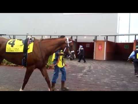 Evangeline Downs on the 4th   Pre race warm up 1