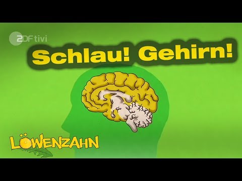 Wer macht was im Gehirn? - Löwenzahn - ZDFtivi