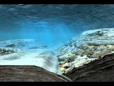 What Causes a Tsunami | How Tsunamis are Formed | Animation Studio | 212-789-9077