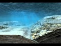 What Causes A Tsunami How Tsunamis Are Formed Animation Studio 212 789 9077
