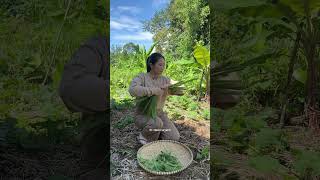 Download lagu pick vegetables and cook in the garden mp3