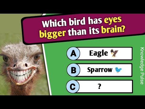 Ultimate Trivia Quiz for Smart Minds | Part 42 | Fun Questions, answers & Facts for Everyone