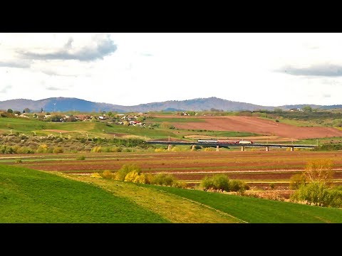Regio Train Ilva Mica - Suceava on Dragoiesti viaduct near Ciprian Porumbescu [April, 2019]