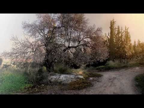 Bułat Okudżawa - Pieśń gruzińska.avi