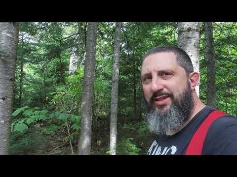 Church Building Cliques