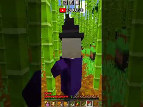 Minecraft but I'm a WITCH