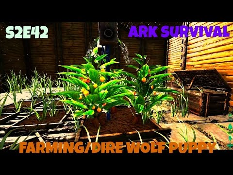 Ark: Survival Evolved - FULL FARMING GUIDE/DIRE WOLF BREEDING! (S2E42)