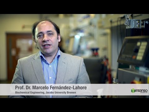 Introduction to Intenso