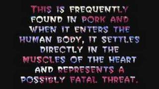 Why Does Quran Forbid Pork?