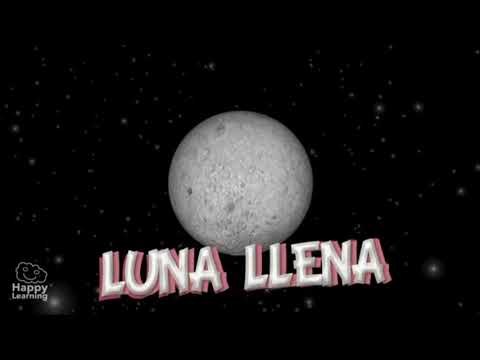 FASES DE LA LUNA