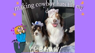 making cowboy hats for my dogs !!! | Maddy Makes
